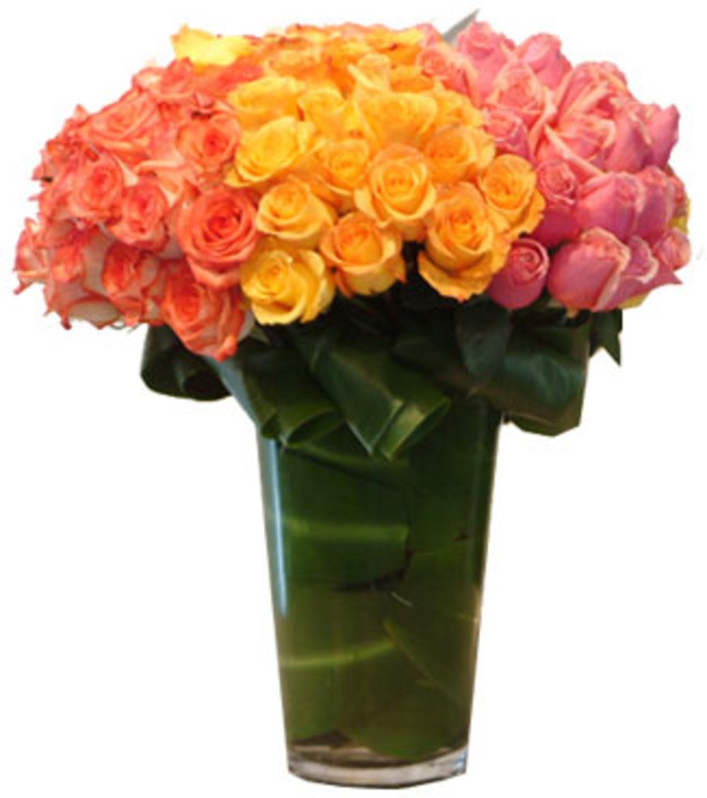 Vase with 100 Stems of Orange , Yellow & Pink Roses