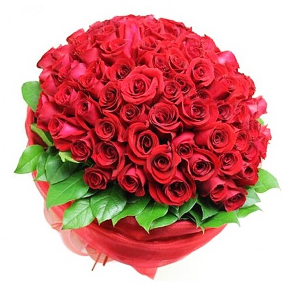60 Red Roses Beauty