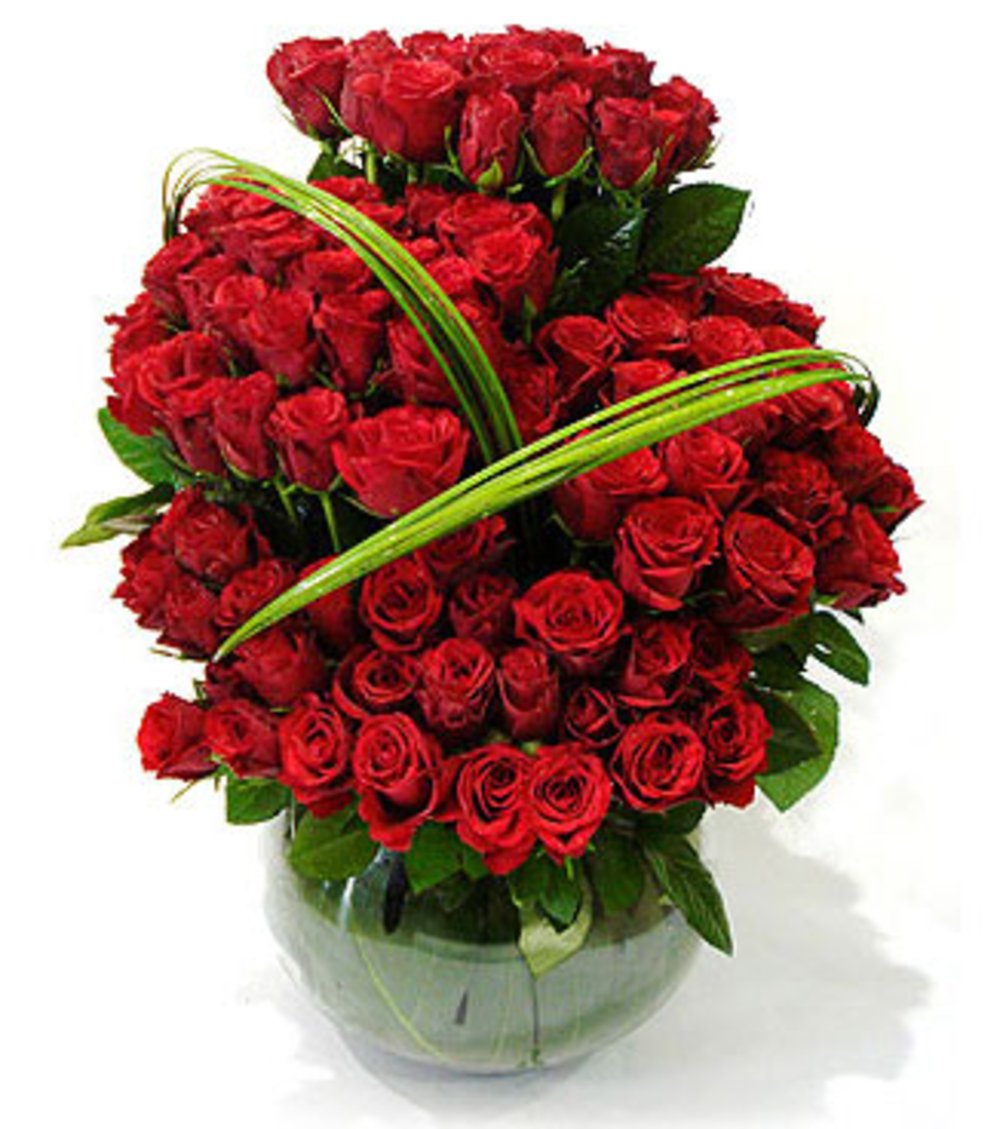 100 Red Roses Beauty