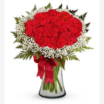 Red Carnations